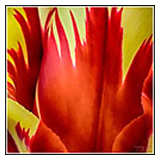 Botanical thumbnail