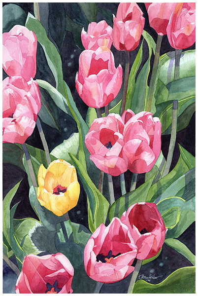 Tulip Time